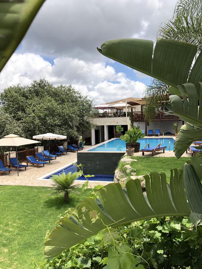 Hotel Demetriou Paradisos Hills Lysos