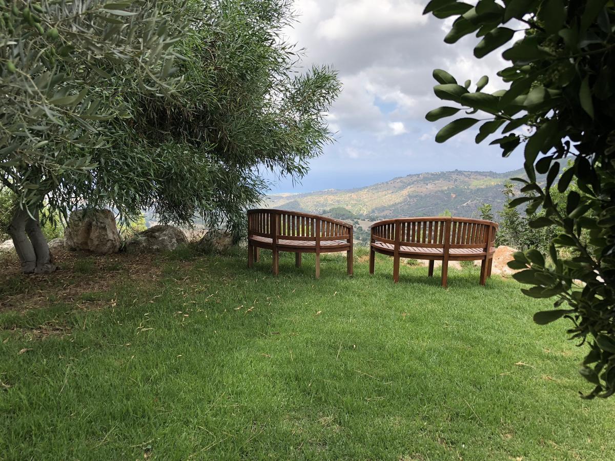 Demetriou Paradisos Hills 3* Lysos