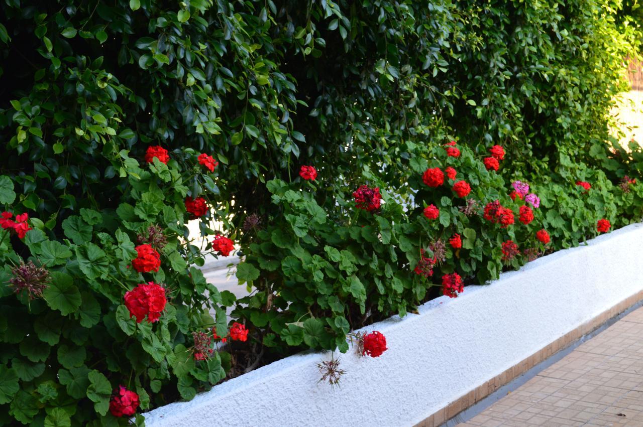 Apartment Chrysland Ayia Napa