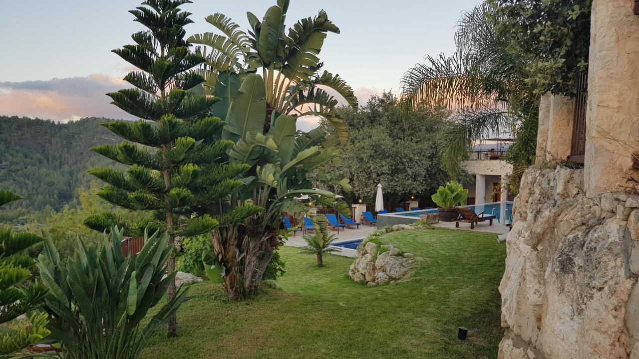 Hotel Demetriou Paradisos Hills Lysos