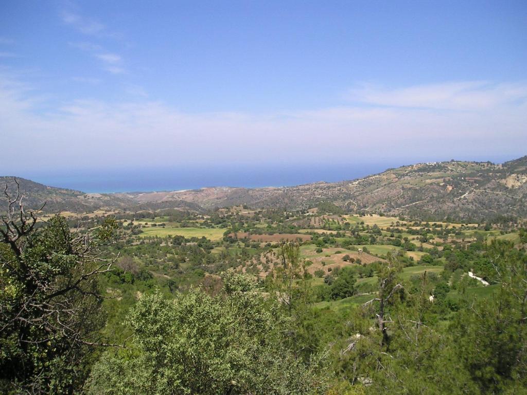 Hotel Demetriou Paradisos Hills 3*