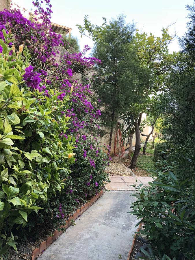 Kantara Sweet Apartment *