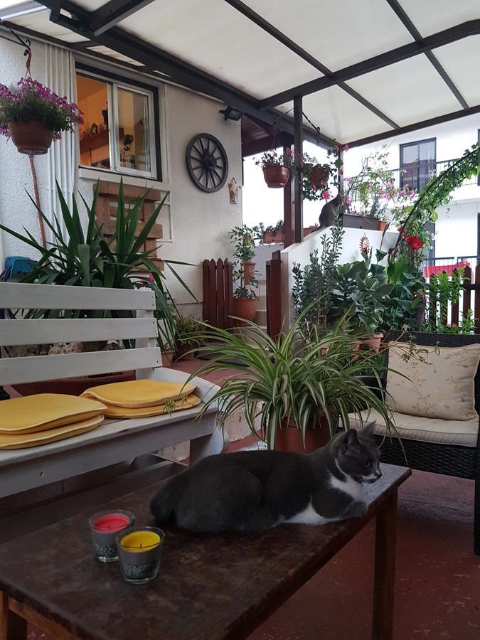 Appartement Estia Vasilis Manoli *
