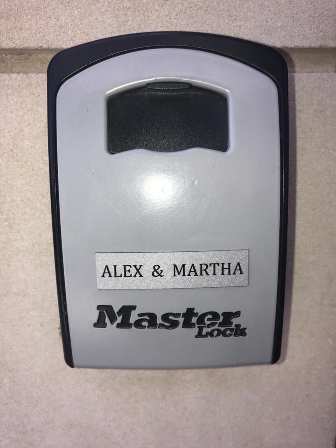 Alex 31