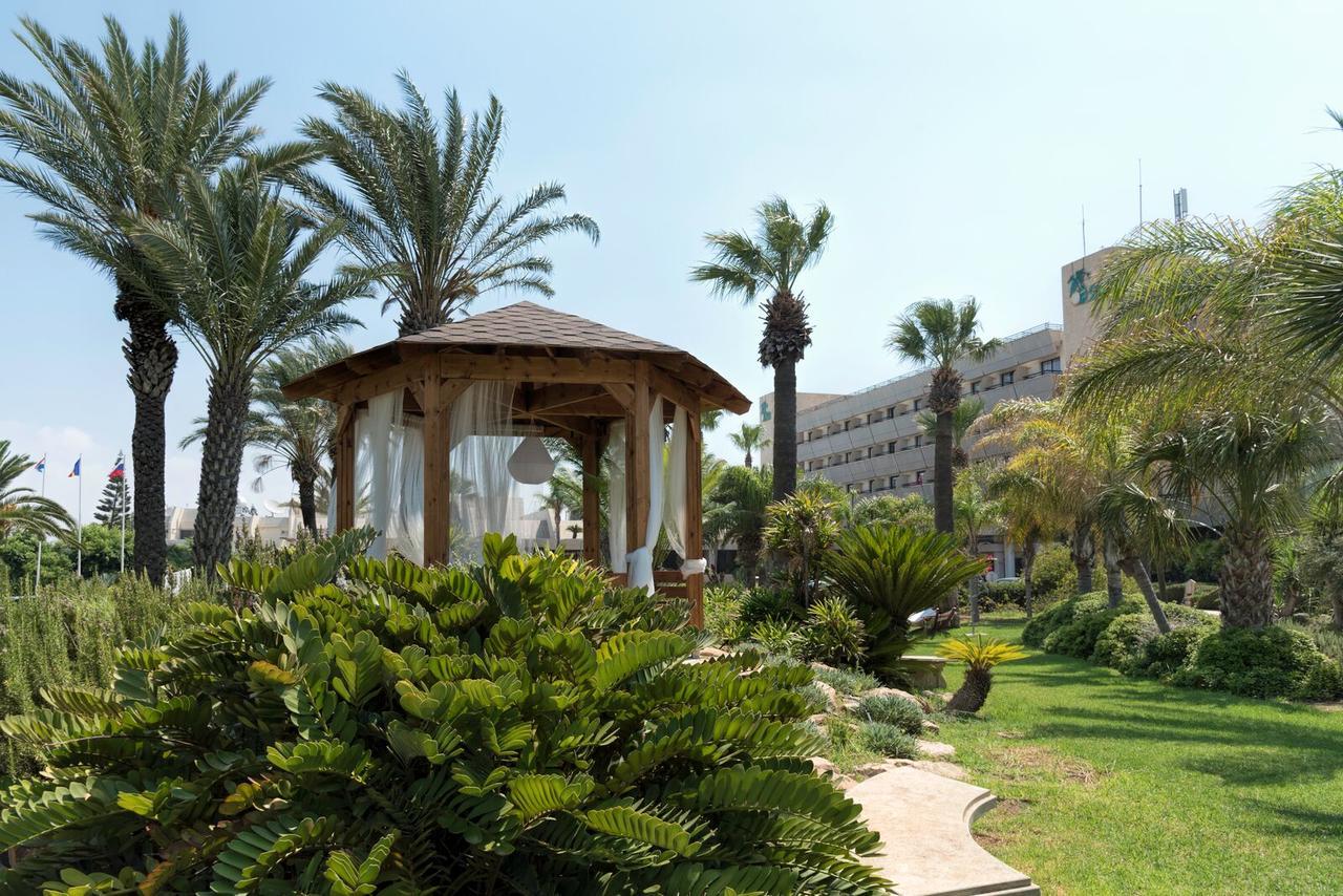 Palm &