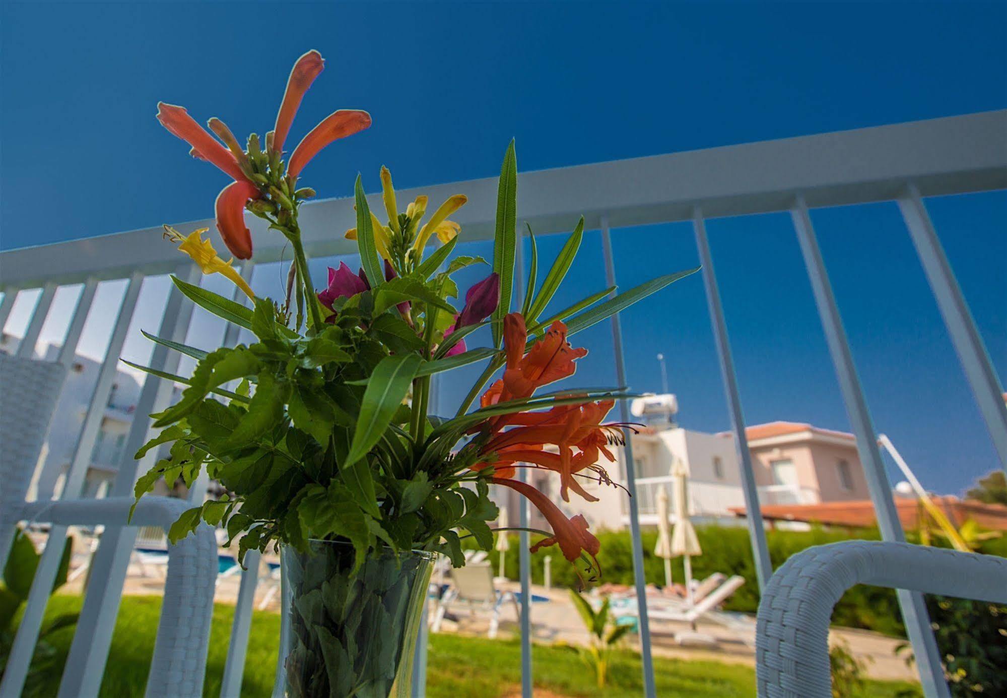 Polycarpia Hotel