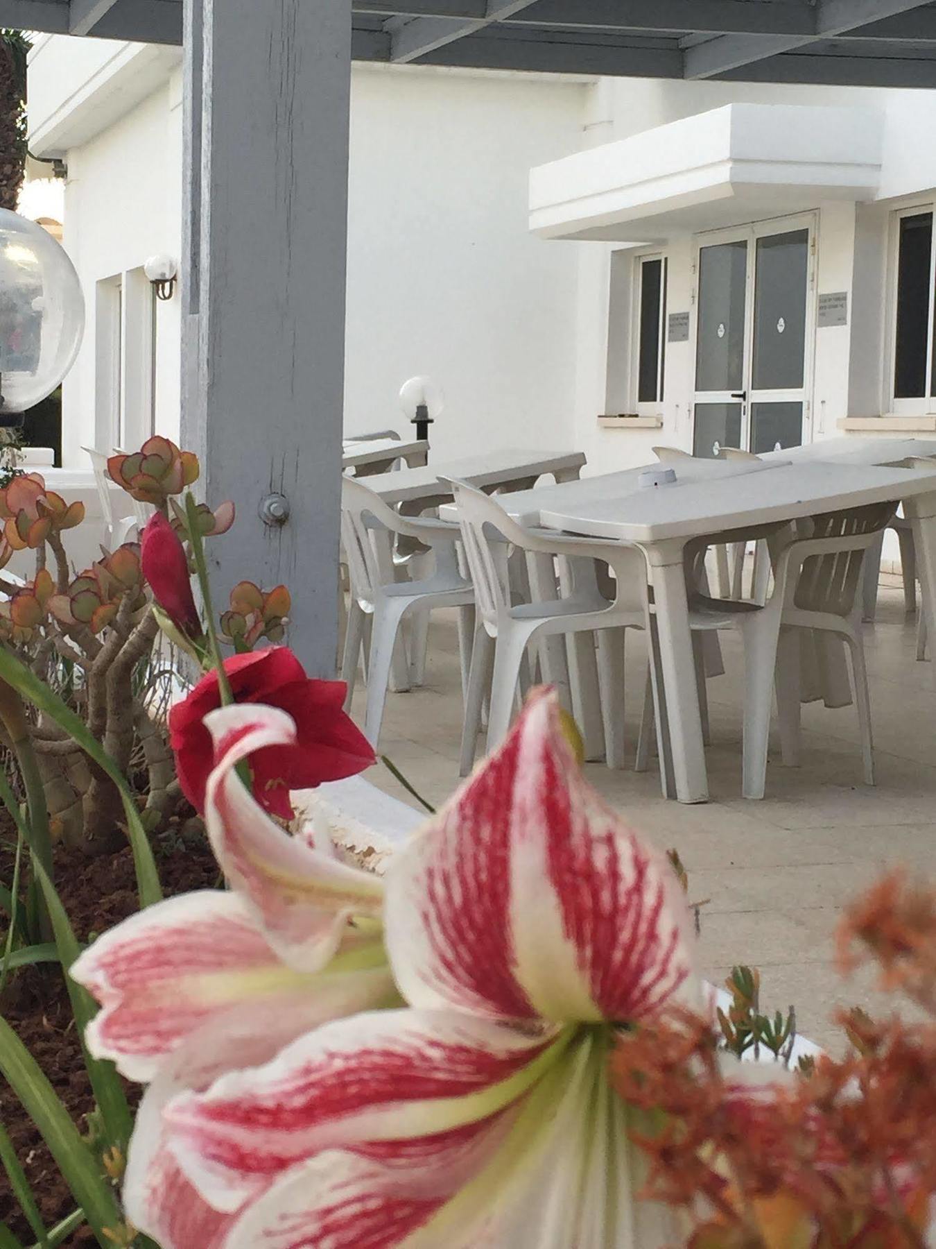 Aparthotel Blue Crane Apts Limassol