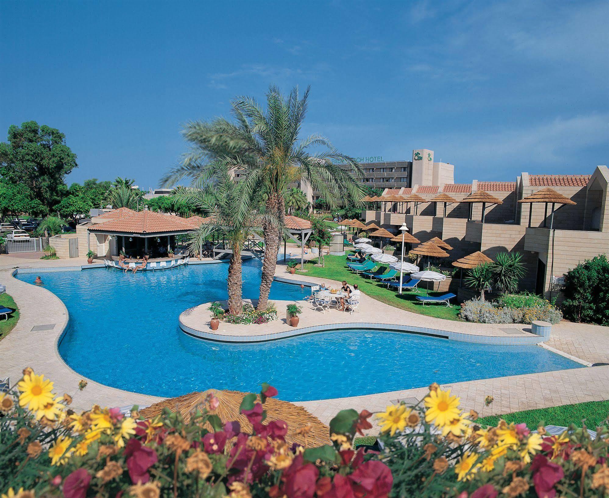 Palm & Resort