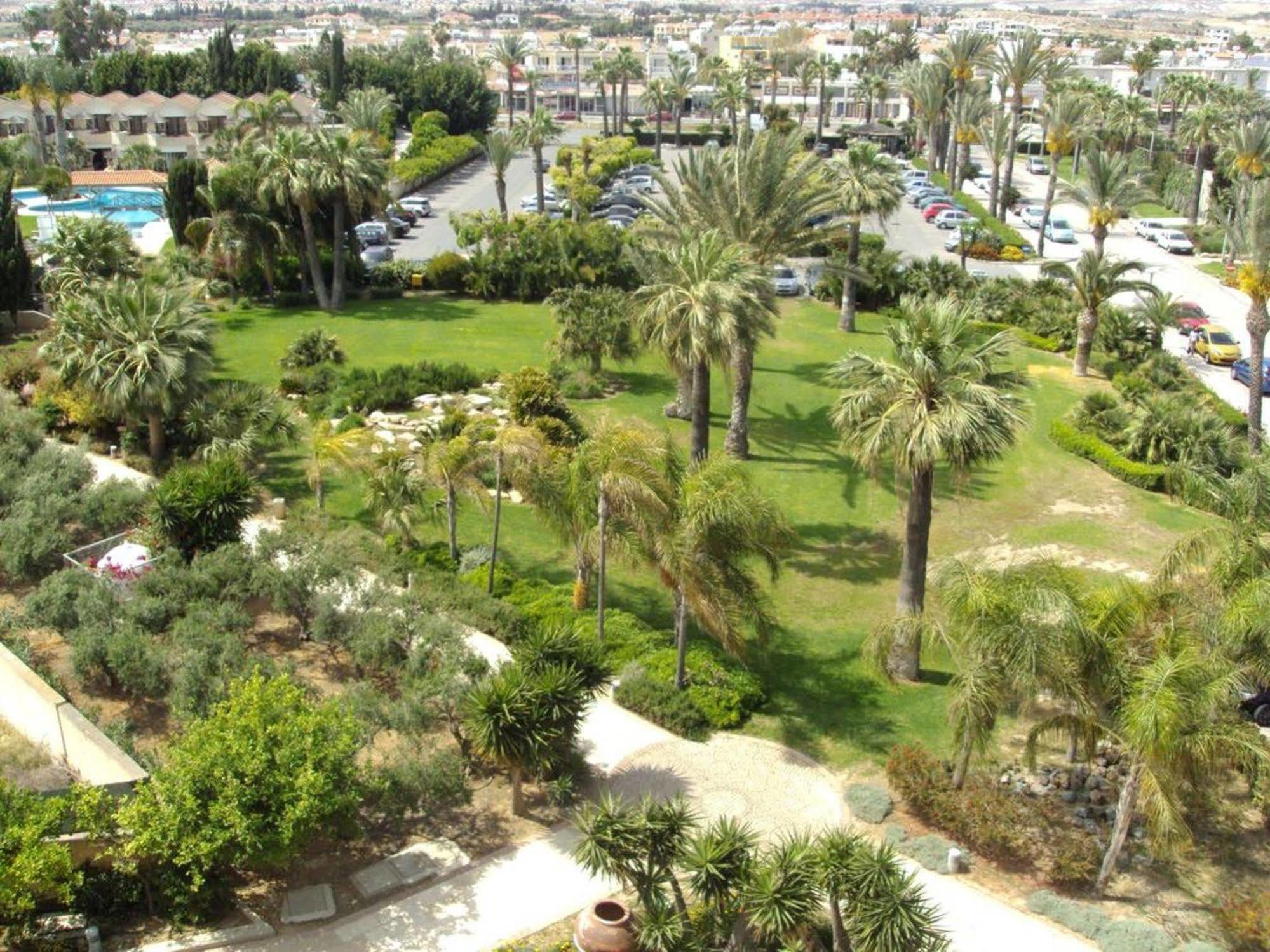 Palm & Larnaca