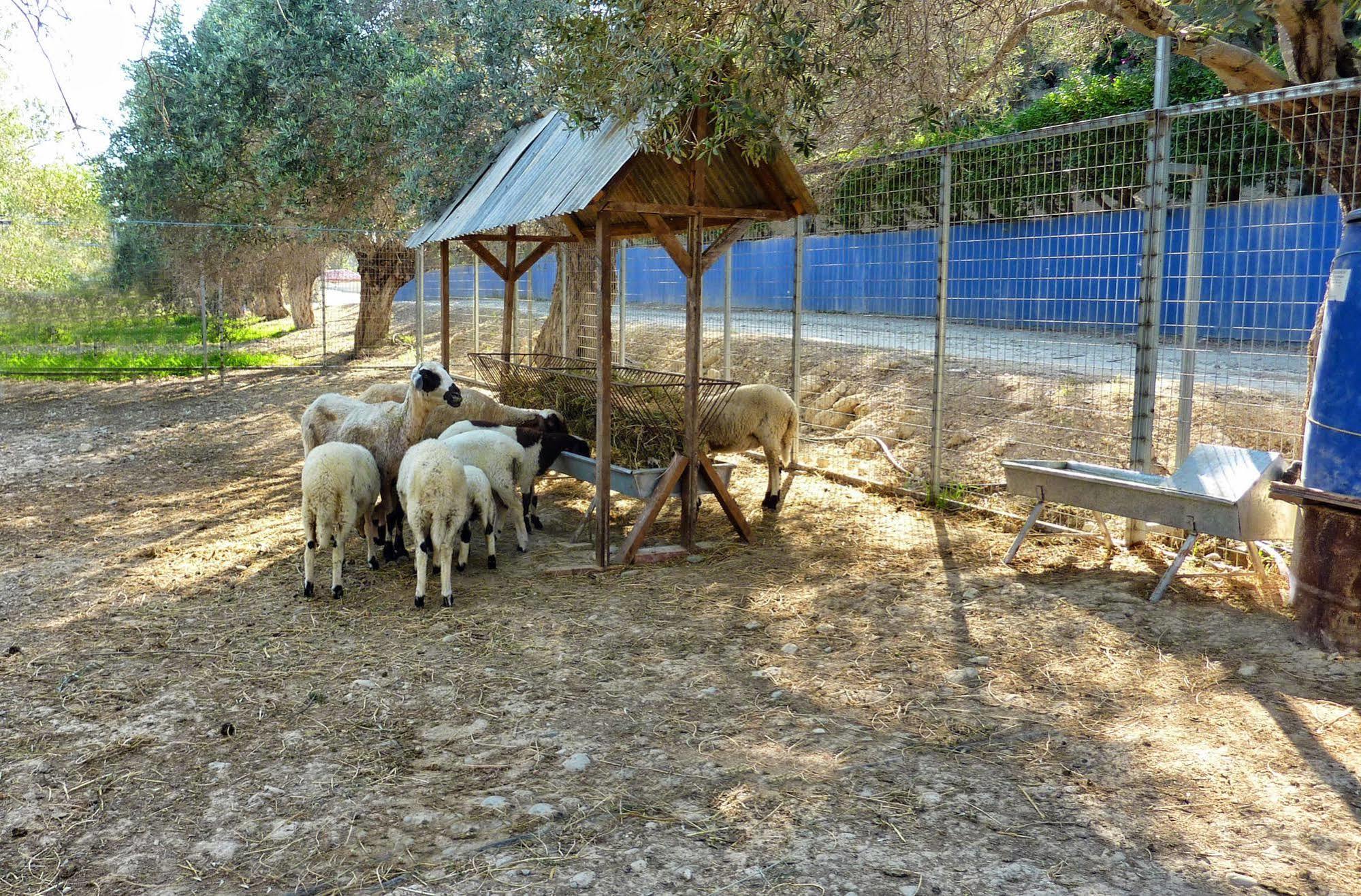 Hadjios Valley Villa *