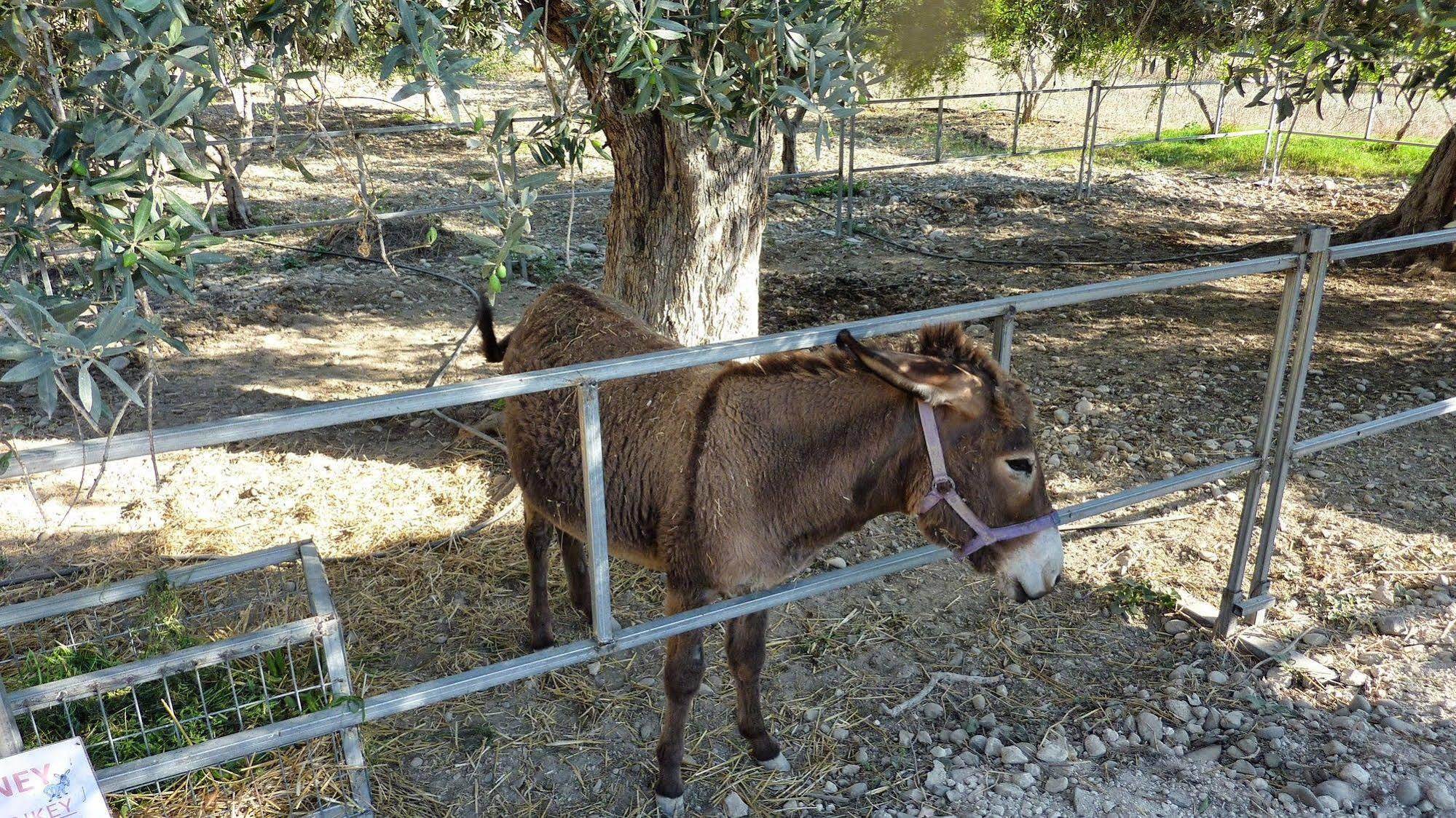 Hadjios Valley Villa