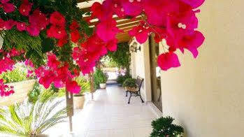 Apartment Droushia Holiday