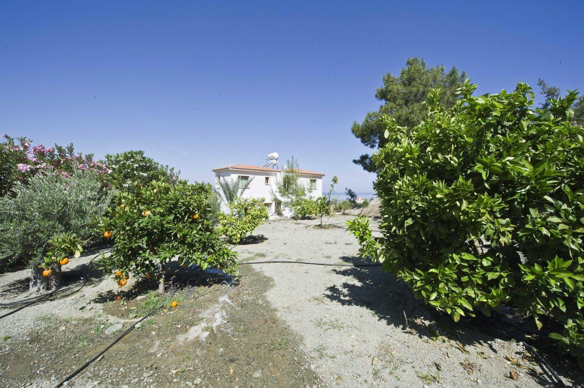 Mersinia Villa Argaka