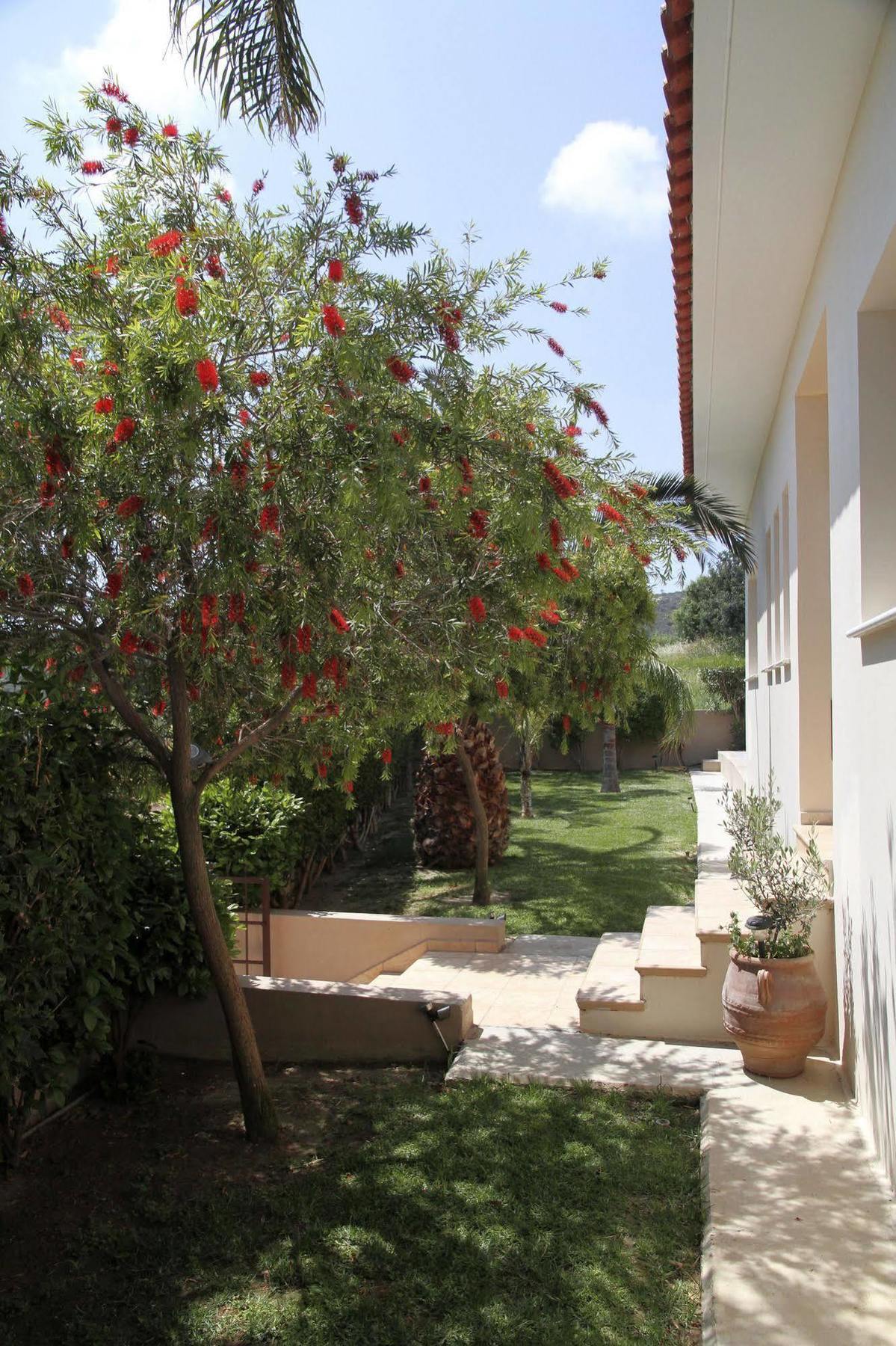 Eve Xιnisteri * Pissouri