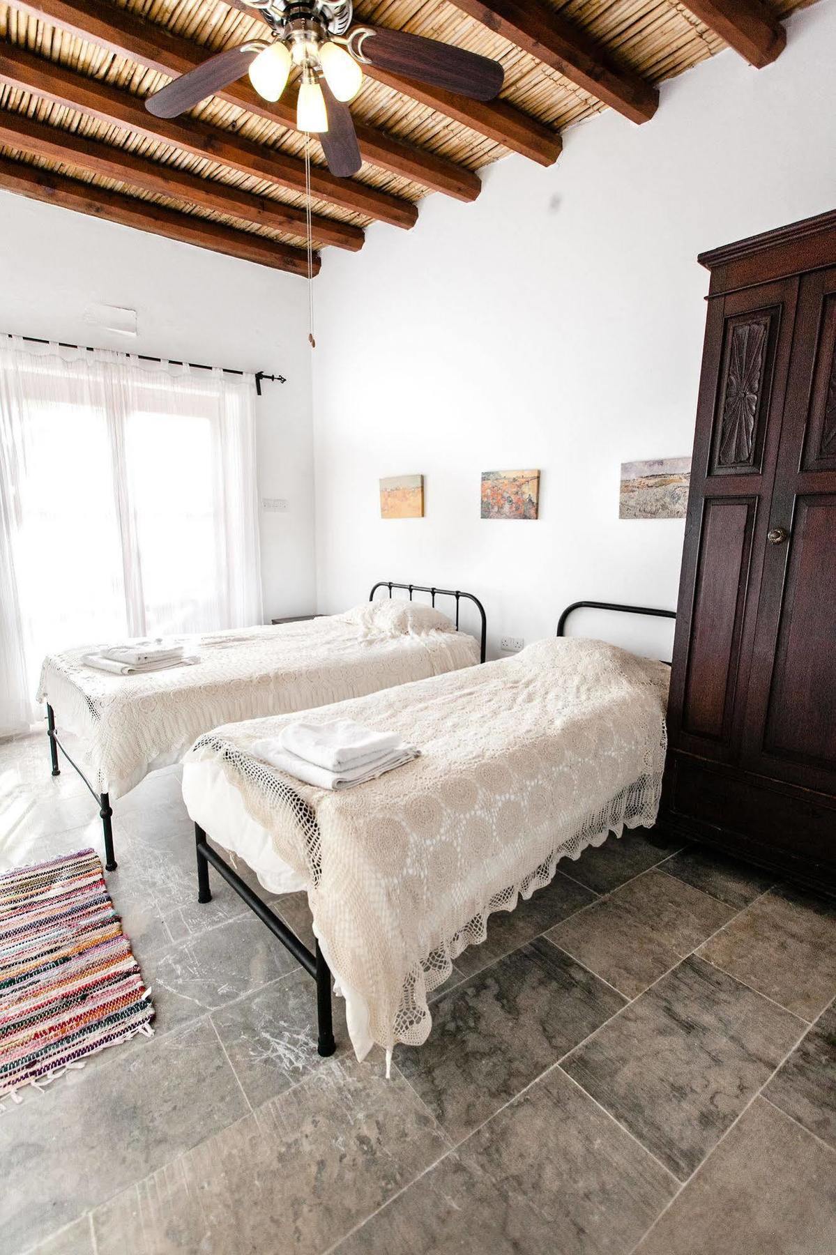 Spiti Calliope *