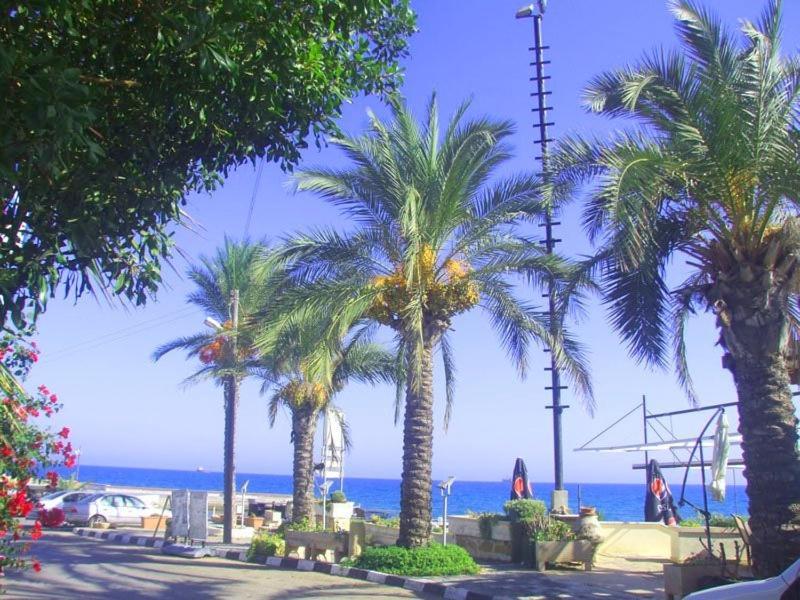 Hotel Bogaz On A Sandy Beach Famagusta (Northern Cyprus)