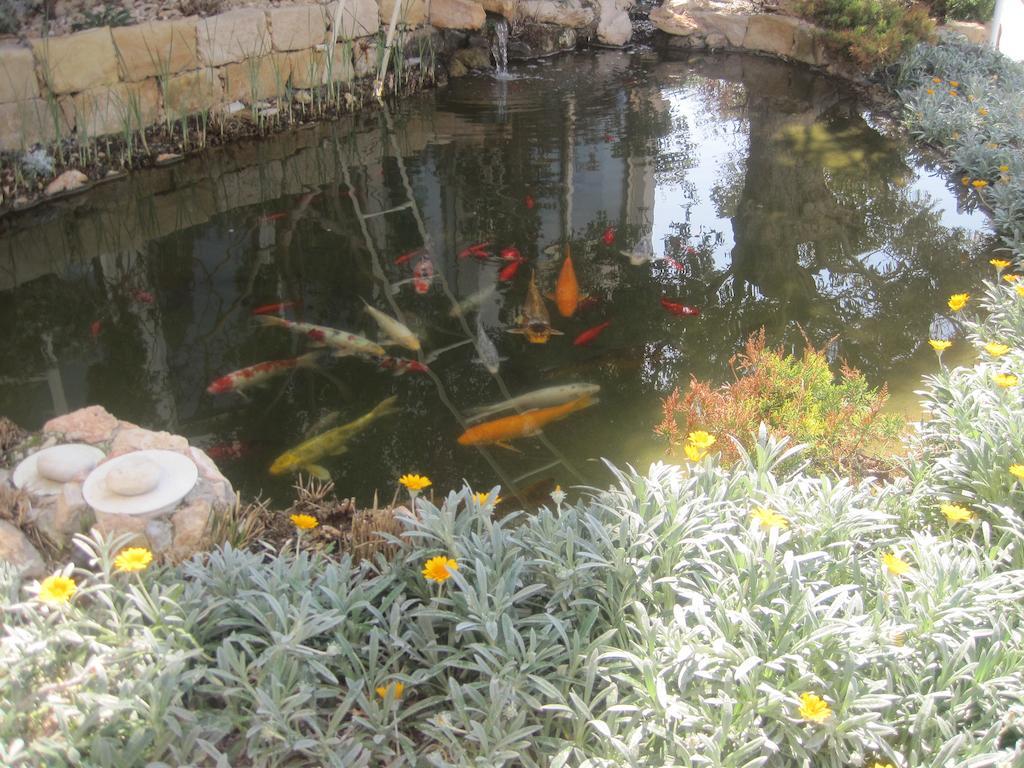 Villa Polyxenia Isaak Dafni Protaras