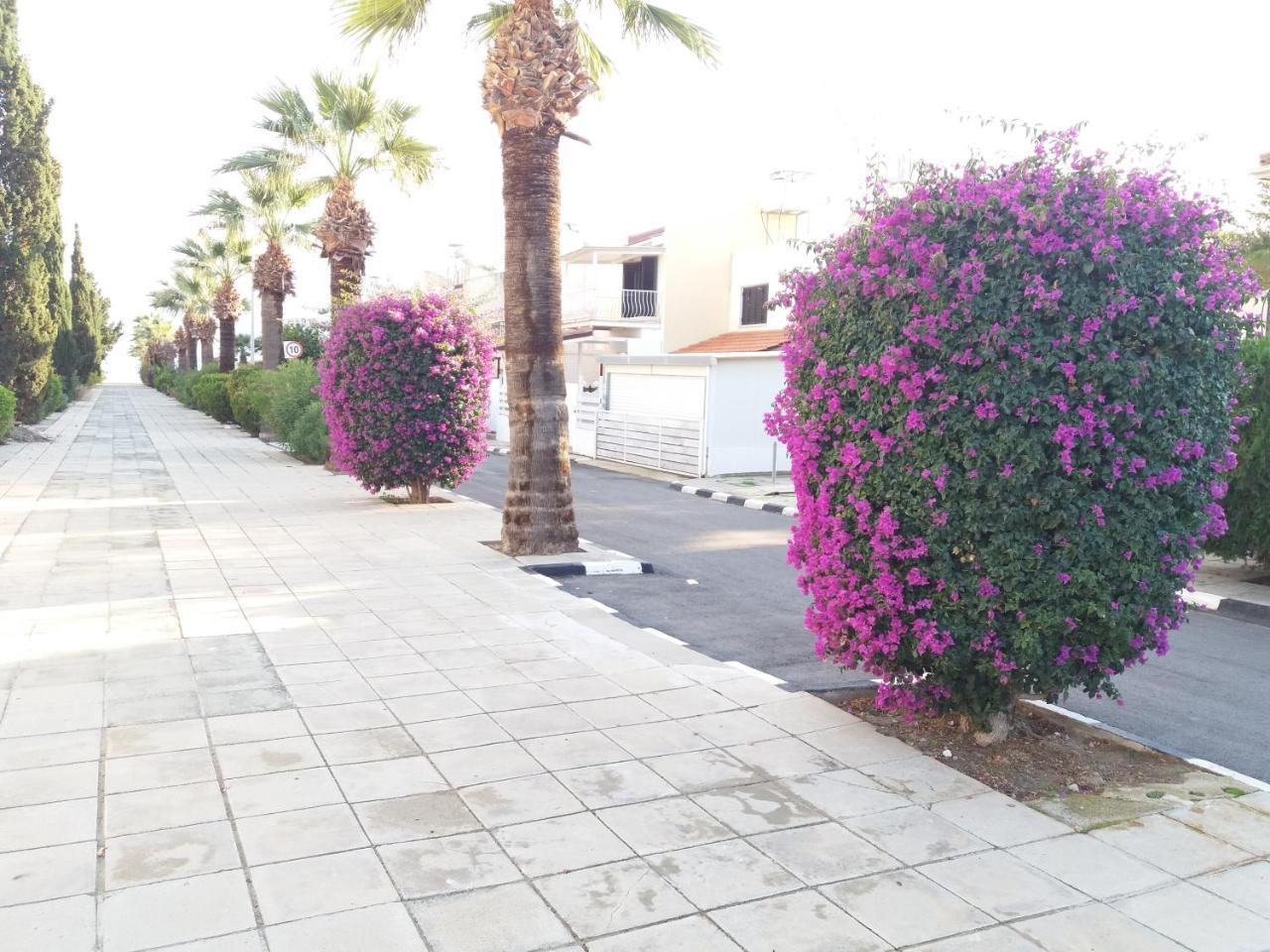 Pirgos House Vakantiehuis Larnaca