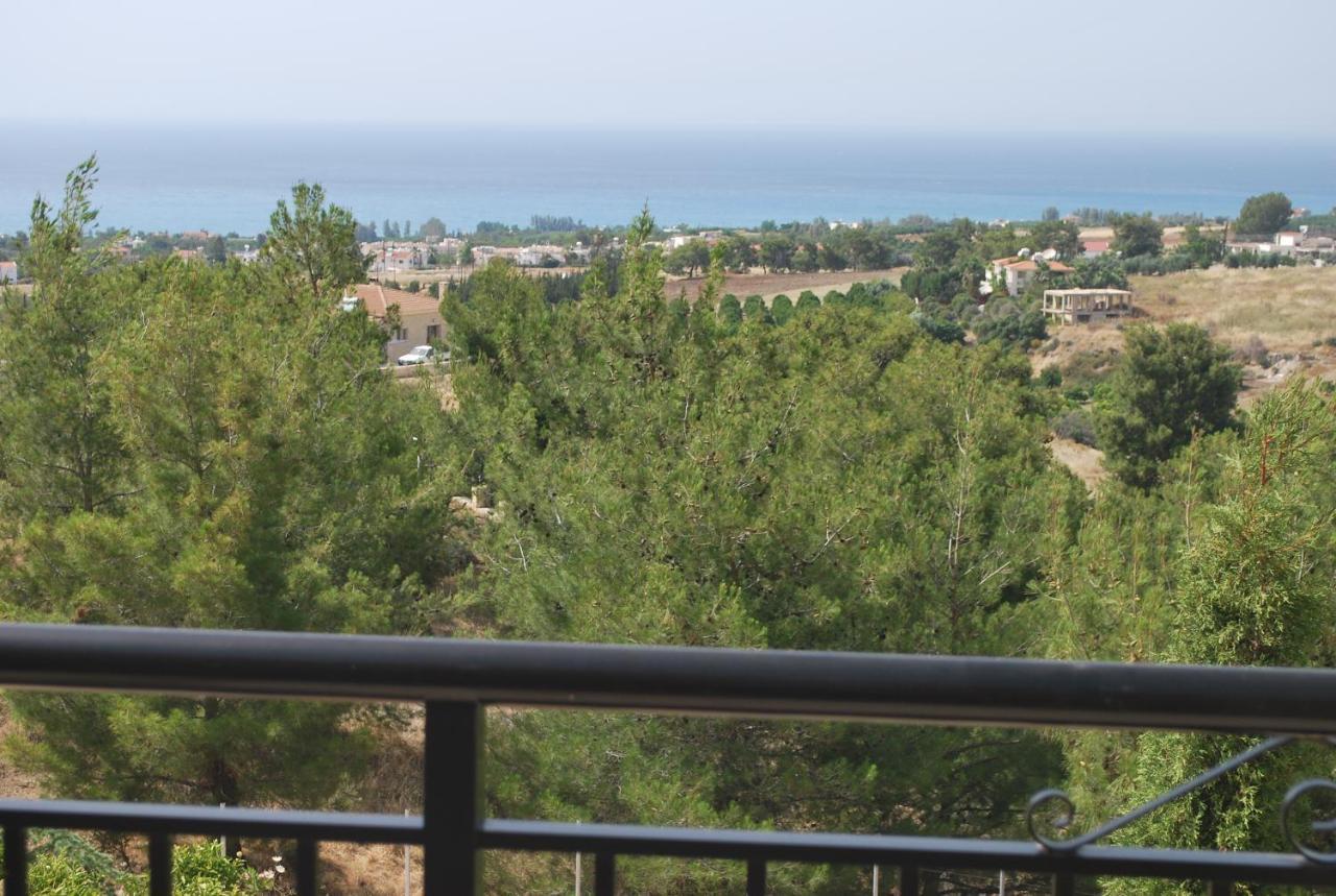 Amazing Luxury Villa, In Paphos, Extremely Large Pool. Jacuzzi, Gym, Games *