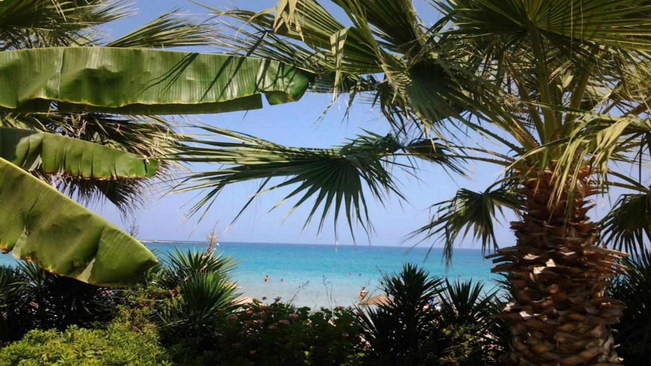 Emiliana Paralimni