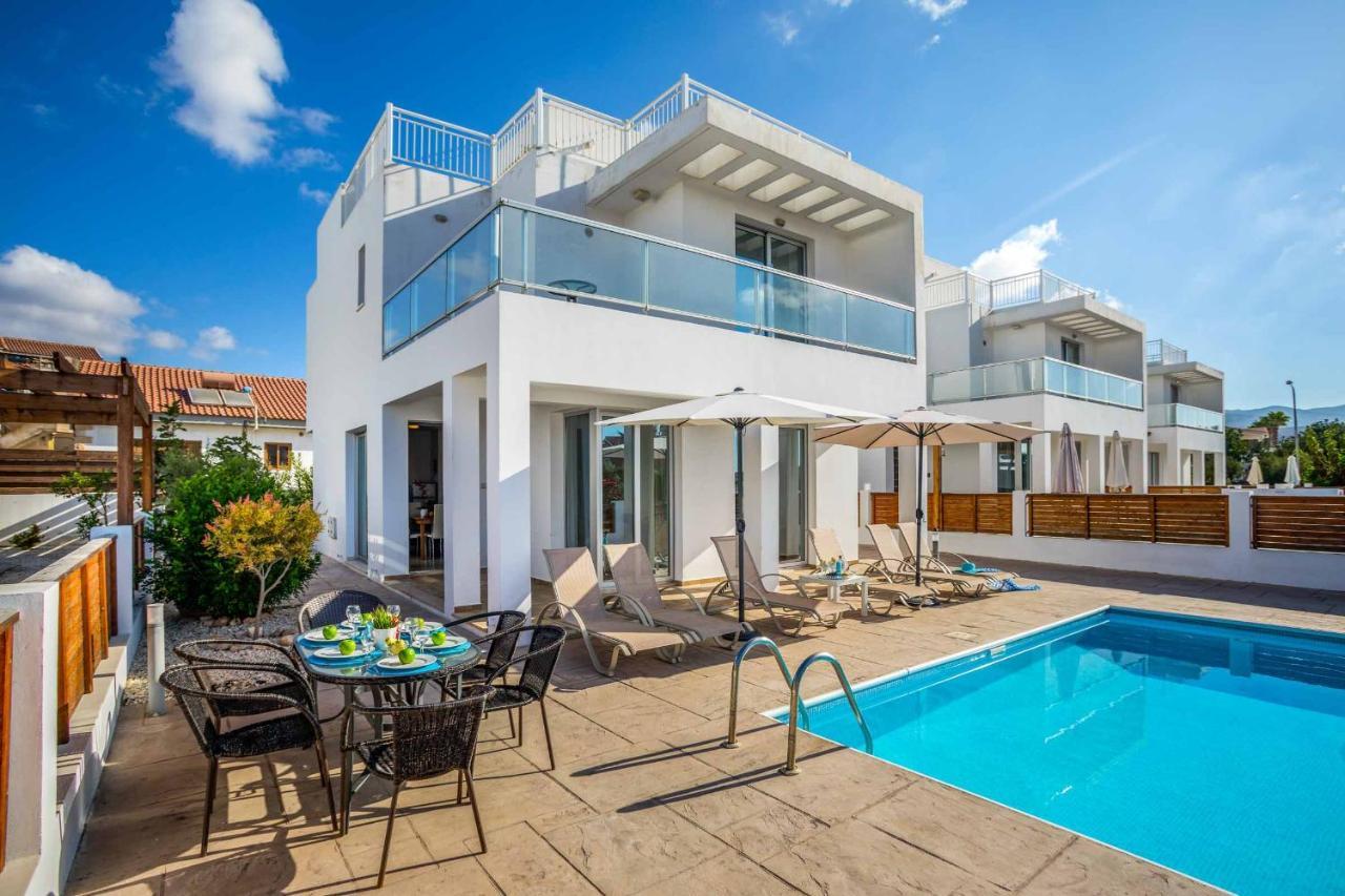 Villa White Daisy *