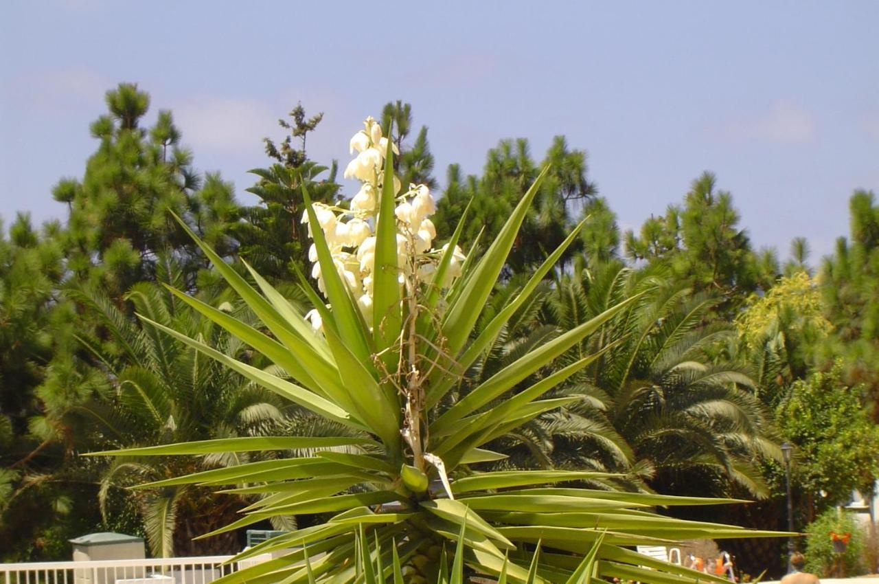 Ikaria Village-ground Floor No 4 Klorakas