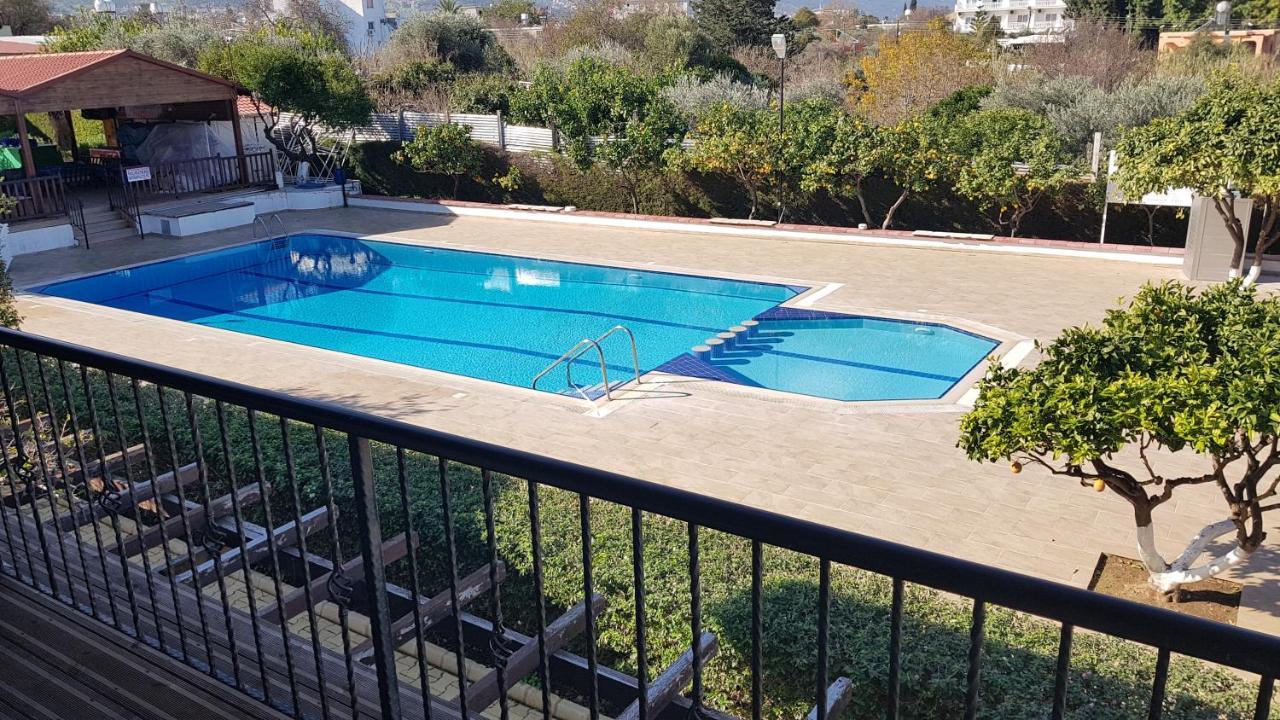 Hotel Citrus Tree Gardens 3*