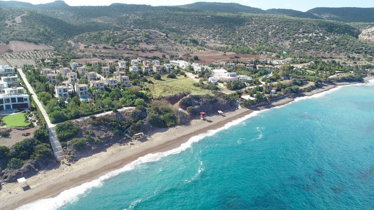 Villa Olivia
