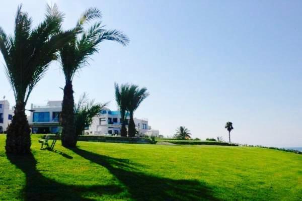 Asteria By The Sea