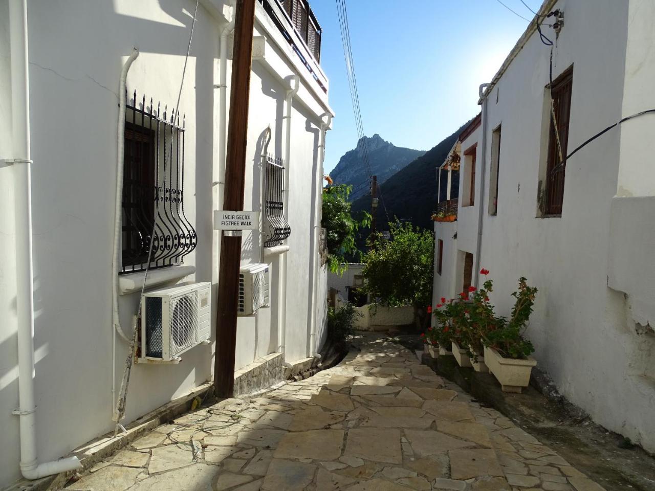 Karmi Guest house *