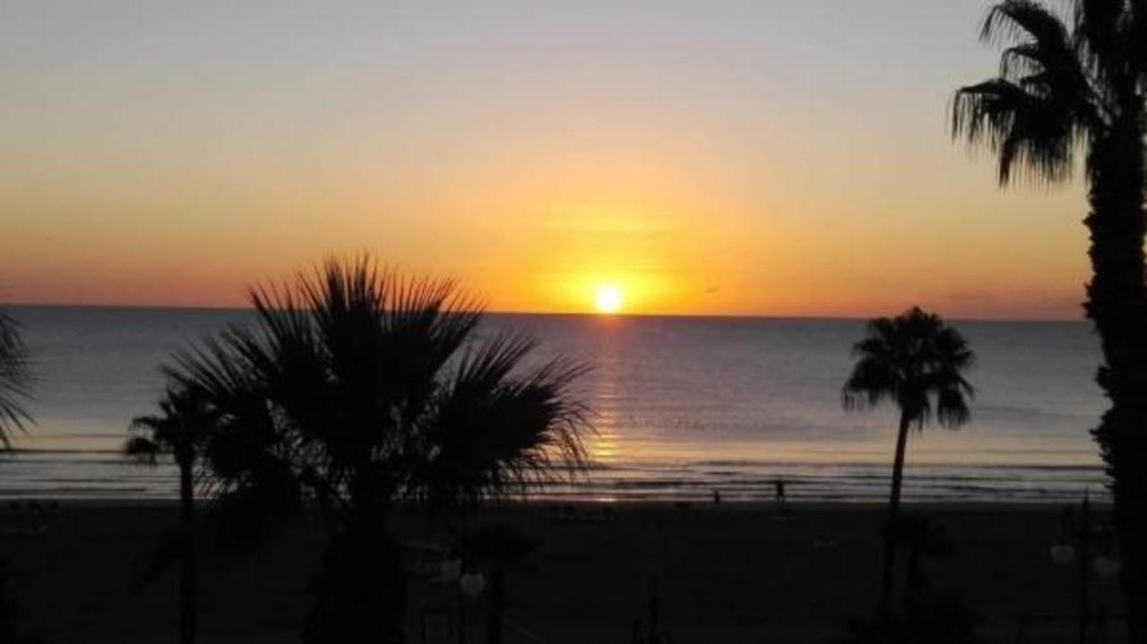 Alex 31 Larnaca