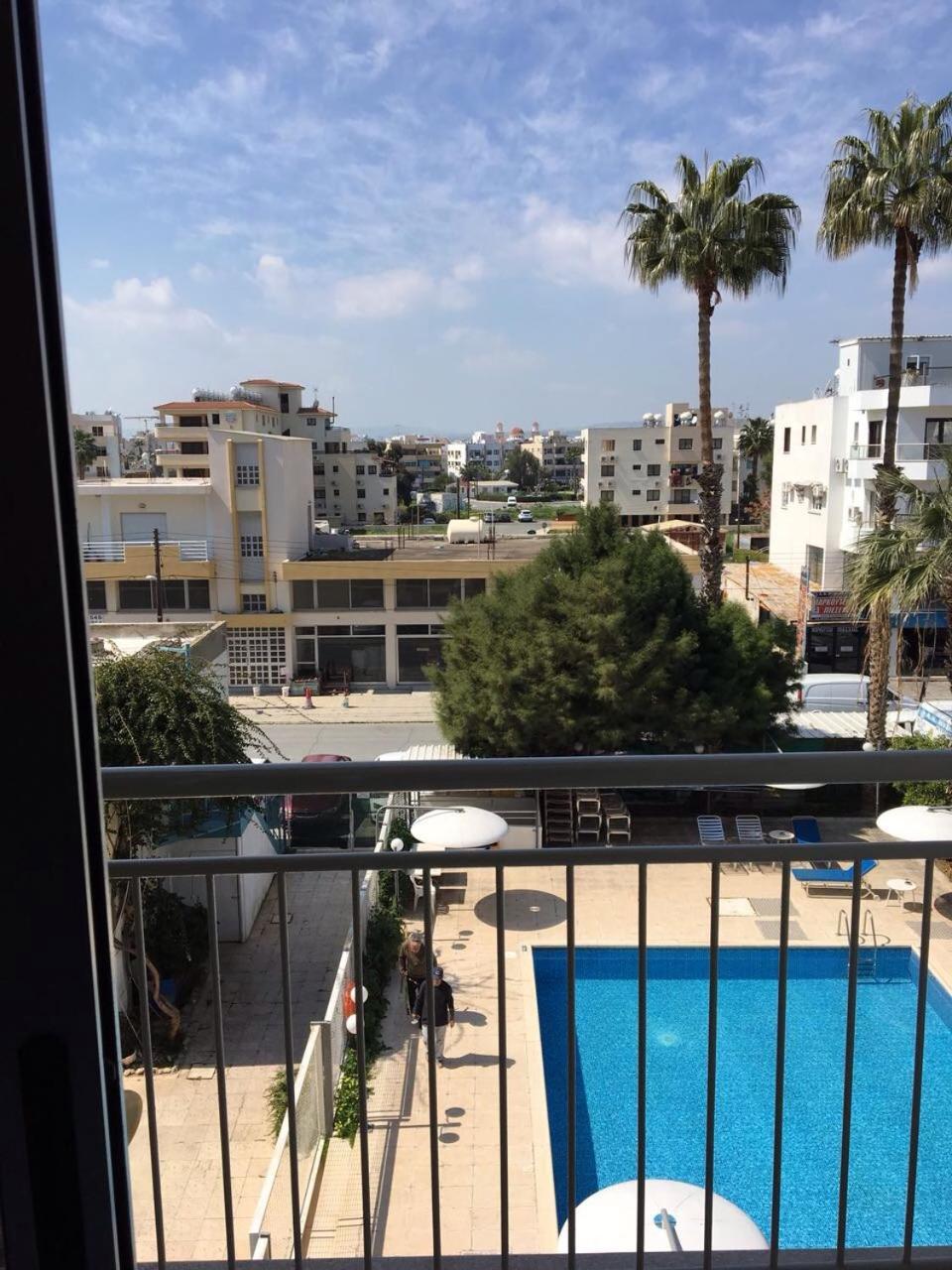 Sunflower Larnaca
