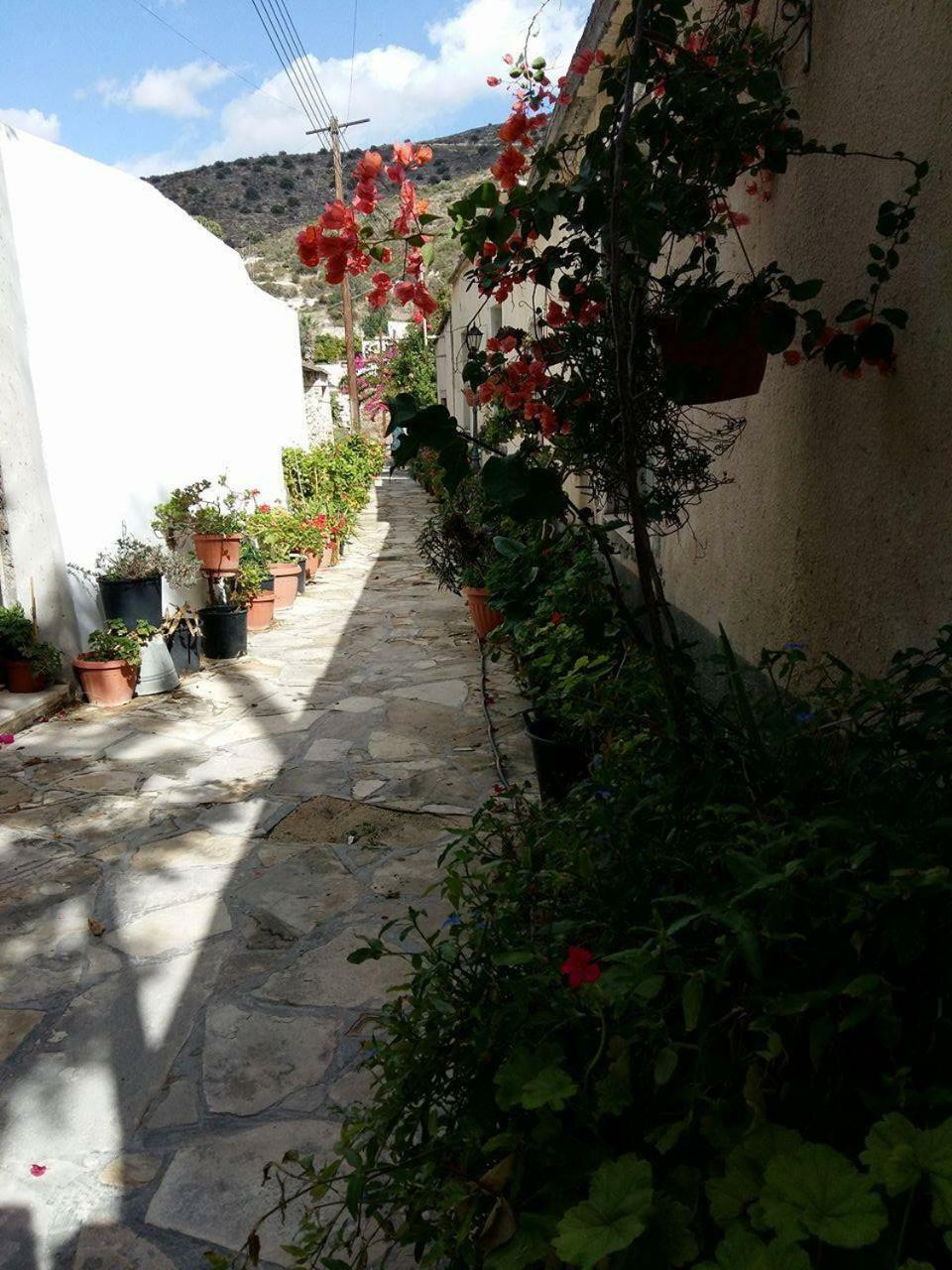 Apartment Romios