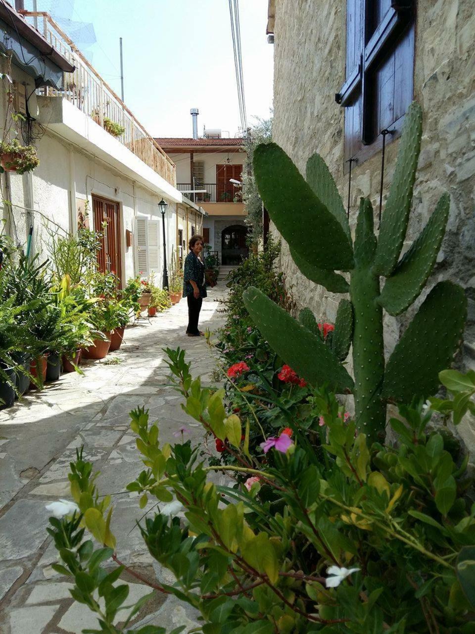 Romios Apartment Kalavasos
