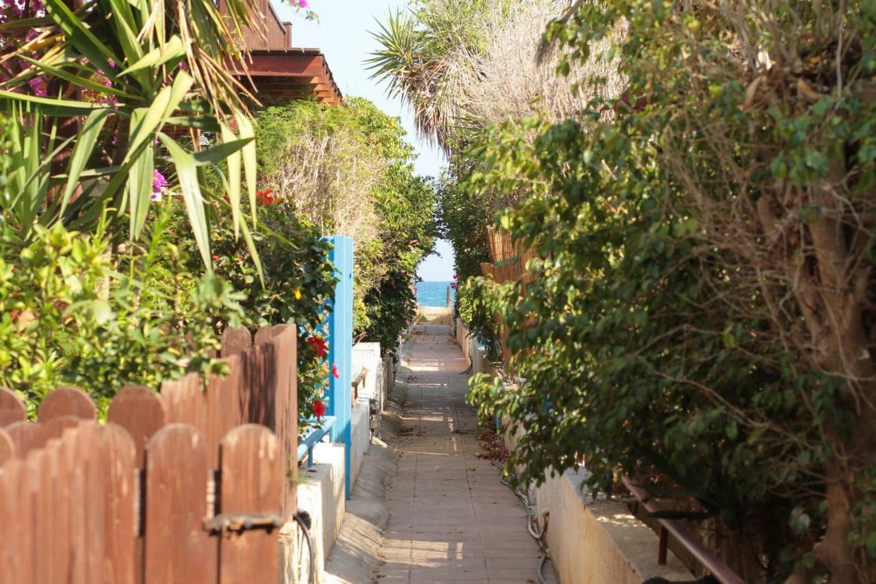 Spiros Seaside No. 11 Villa