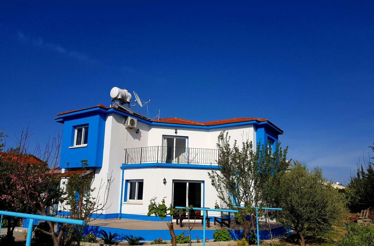 Villa Olive Tree