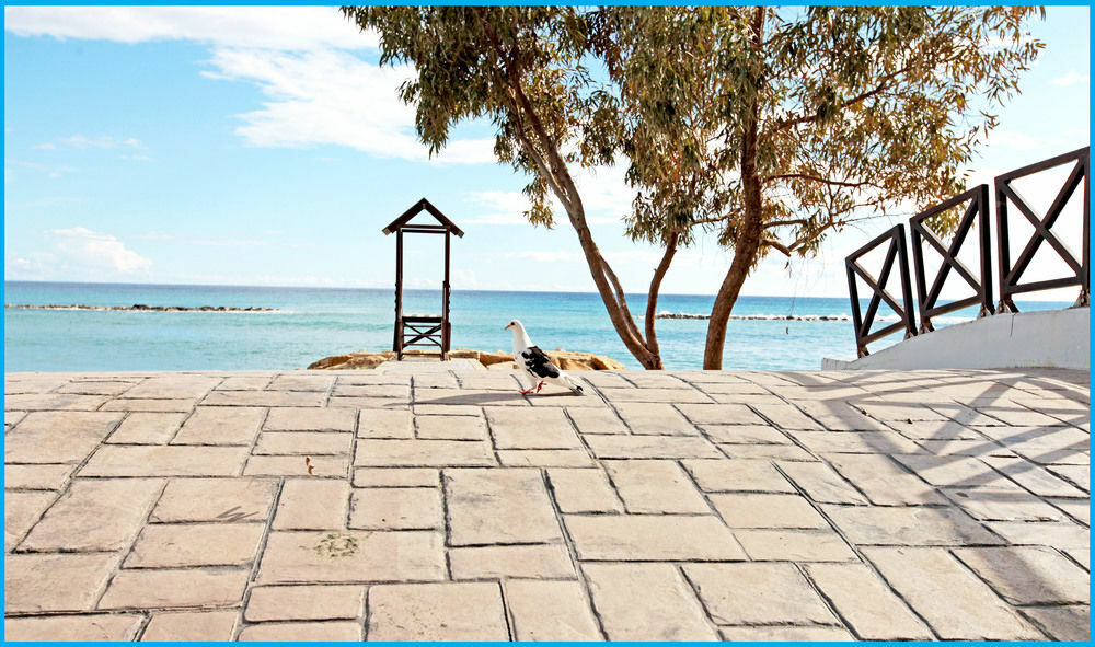 Hotel Poseidonia 4*