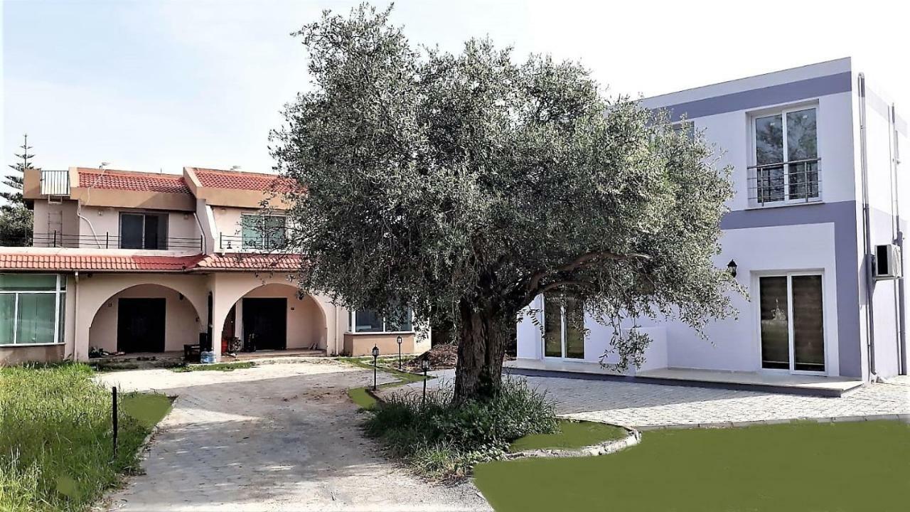 Suluca Homes Villa