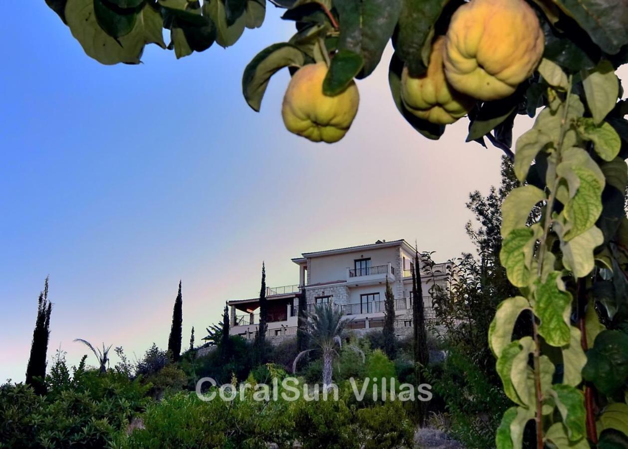 Villa Amazing Luxury Villa, In Paphos, Extremely Large Pool. Jacuzzi, Gym, Games Argaka