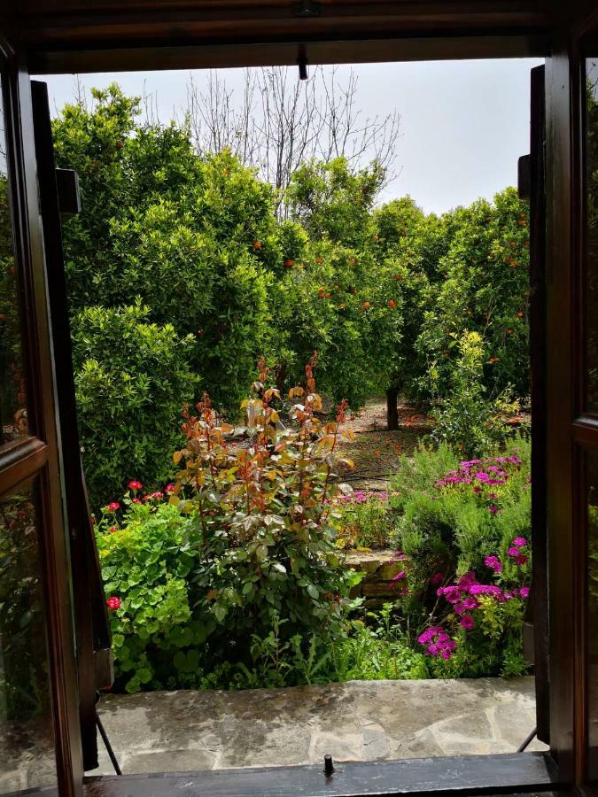 Appartement Spanos House