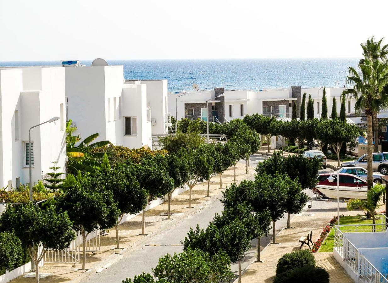 Lilach - Seaside, Caesar