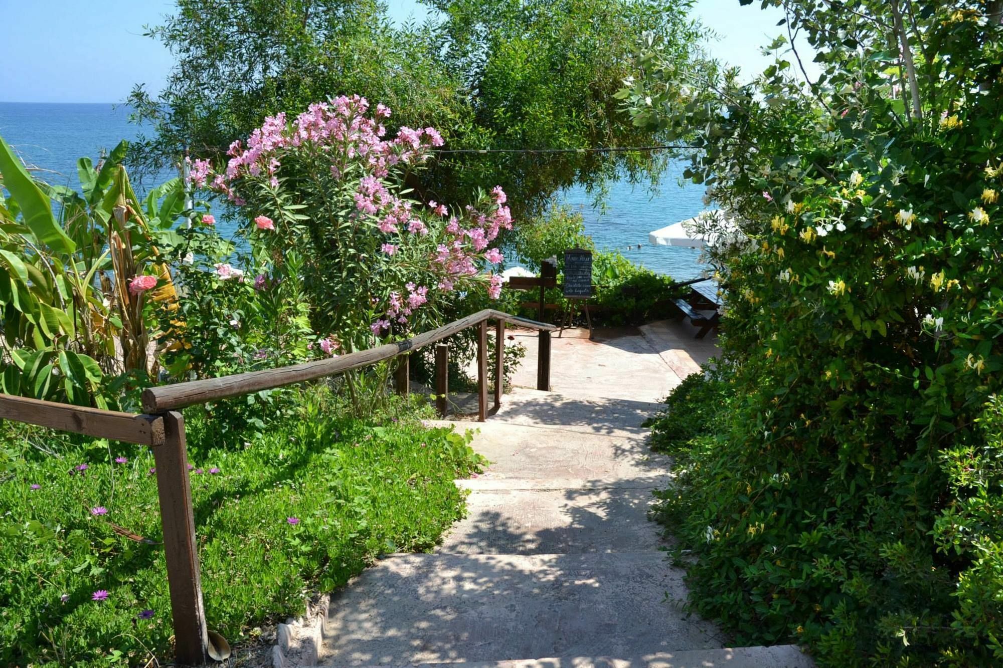 Hotel Aphrodite Beach 2*