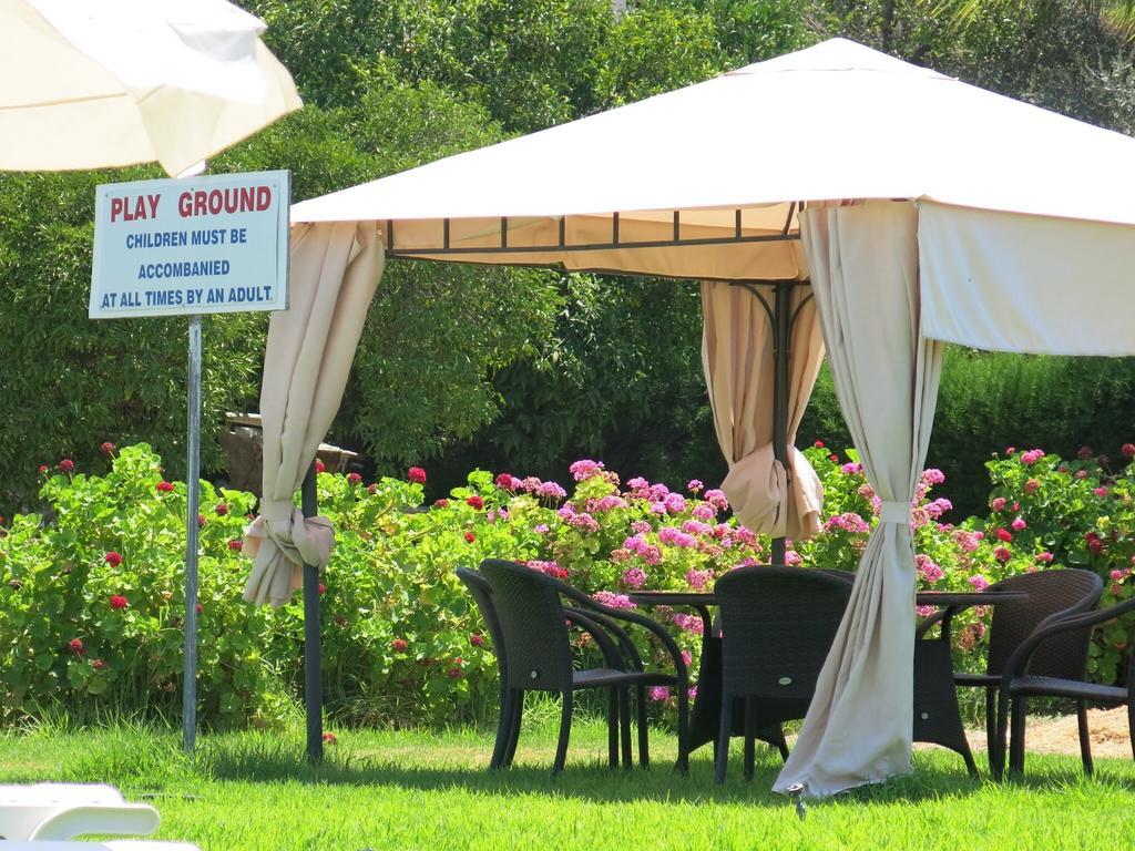Bougainvillea 3*