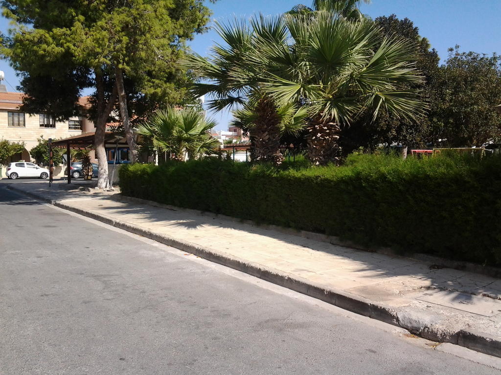 Savva Complex