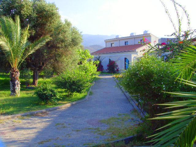 Bare Hill Village 2*