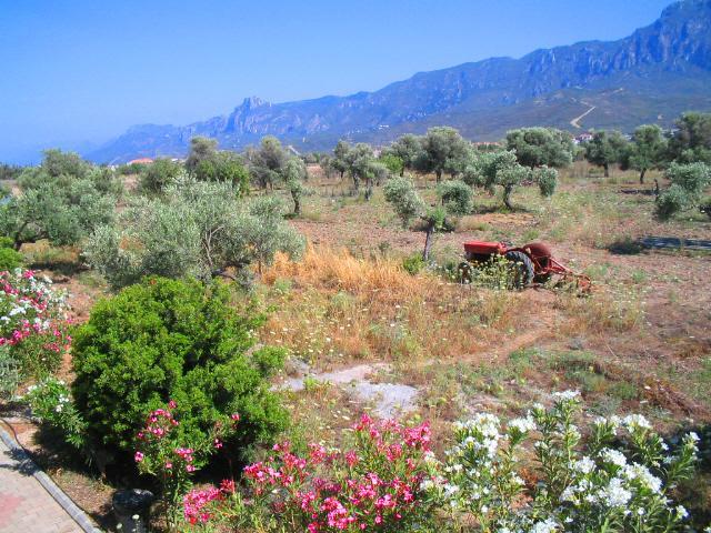 Bare Hill Village Elea