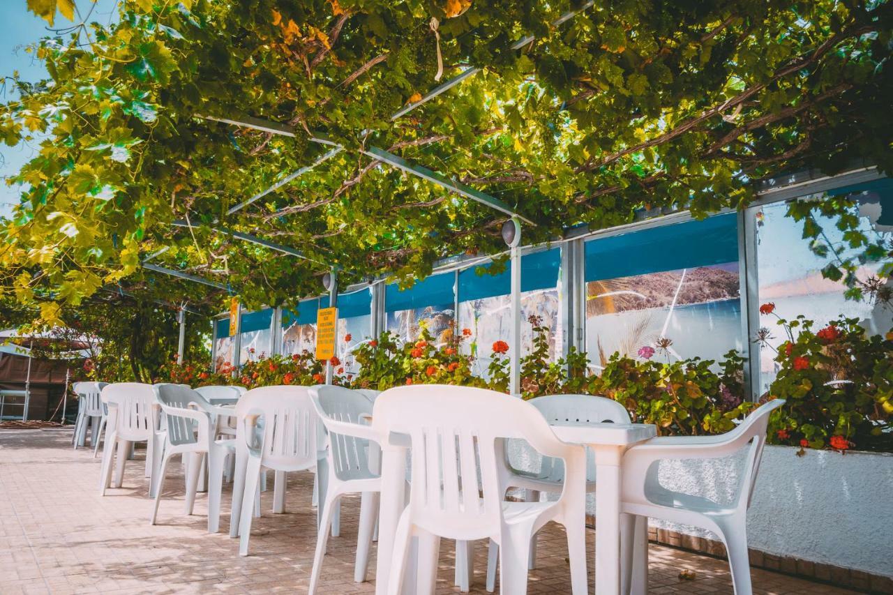 Chrysland Ayia Napa
