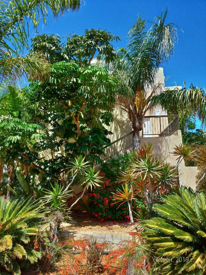 Constantaras Apartment