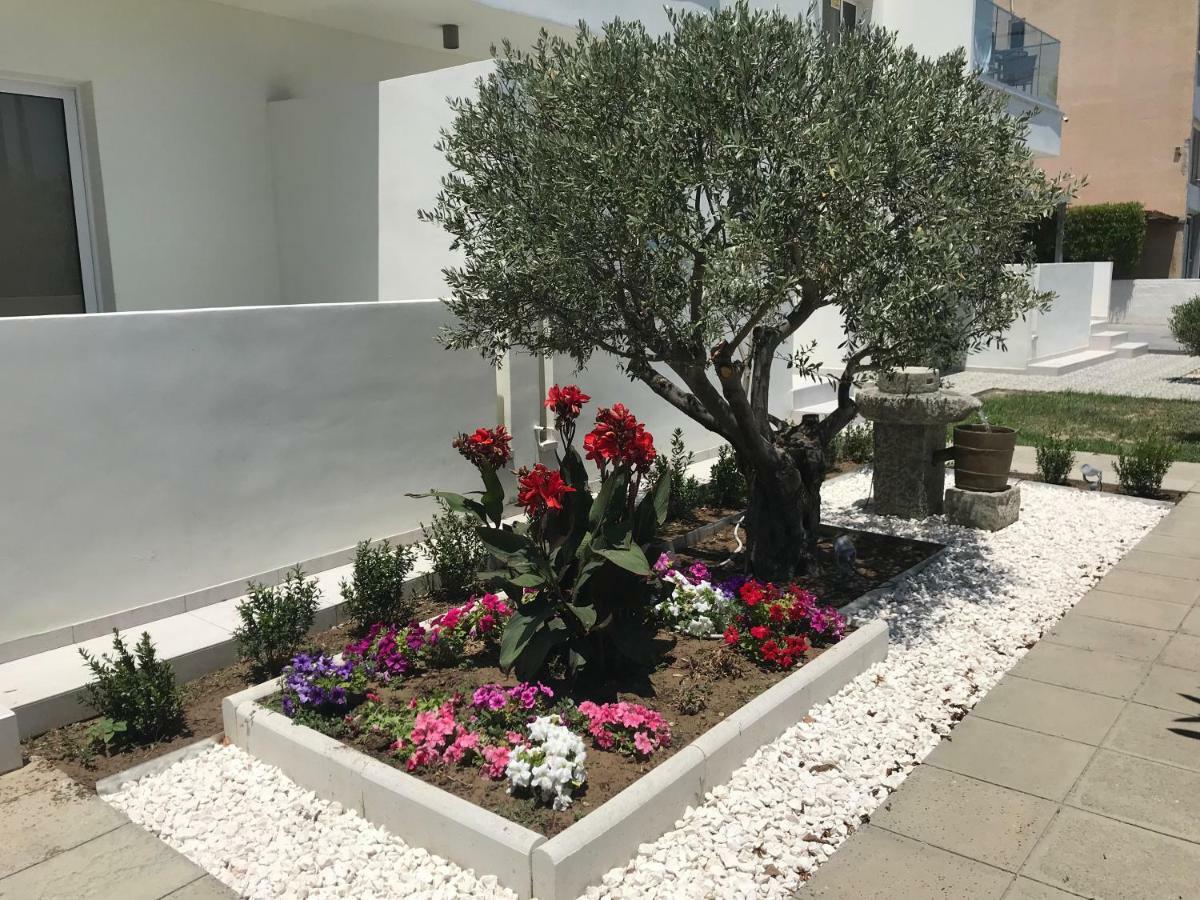 Themis Apartment Larnaca