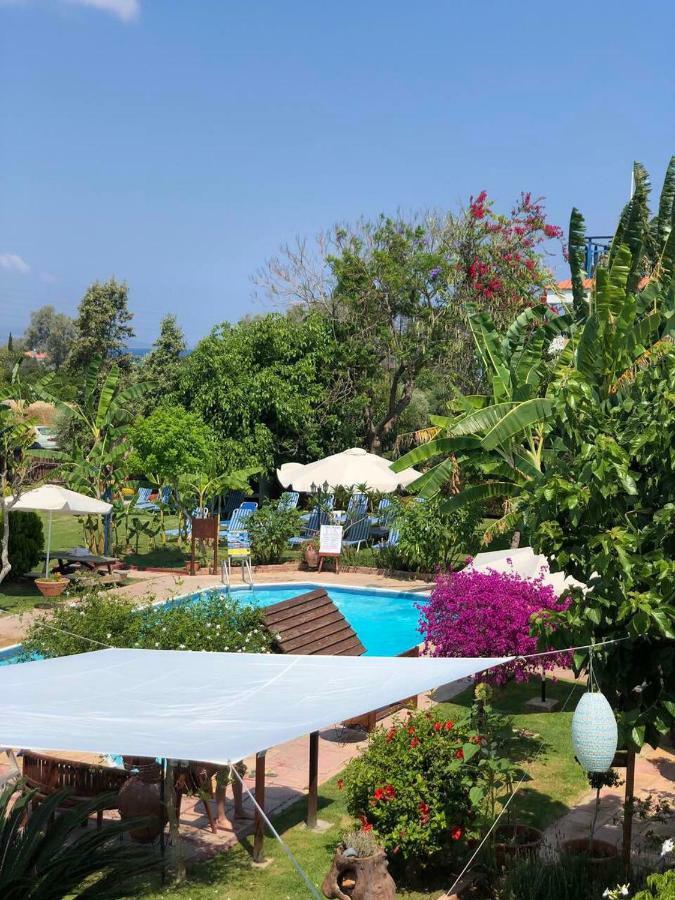 Bay View Aparthotel Polis